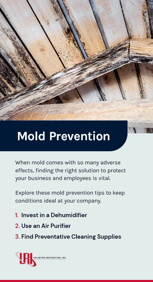 11 Types of Mold and What to Look For | Professional Service